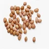 raw processing type peanut with factory 1KG price