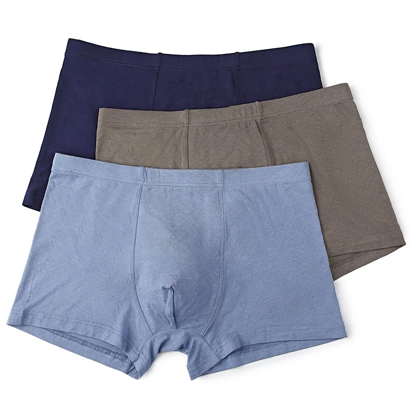 lower east american boxer shorts