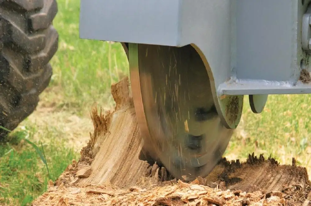 Efukt Stump Grinder