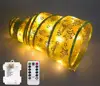 Fairy Lights Led String 5M 50 LED For Bedroom Holiday Party Wedding Stage Christmas and Garden Decoration,Star Silk Ribbon