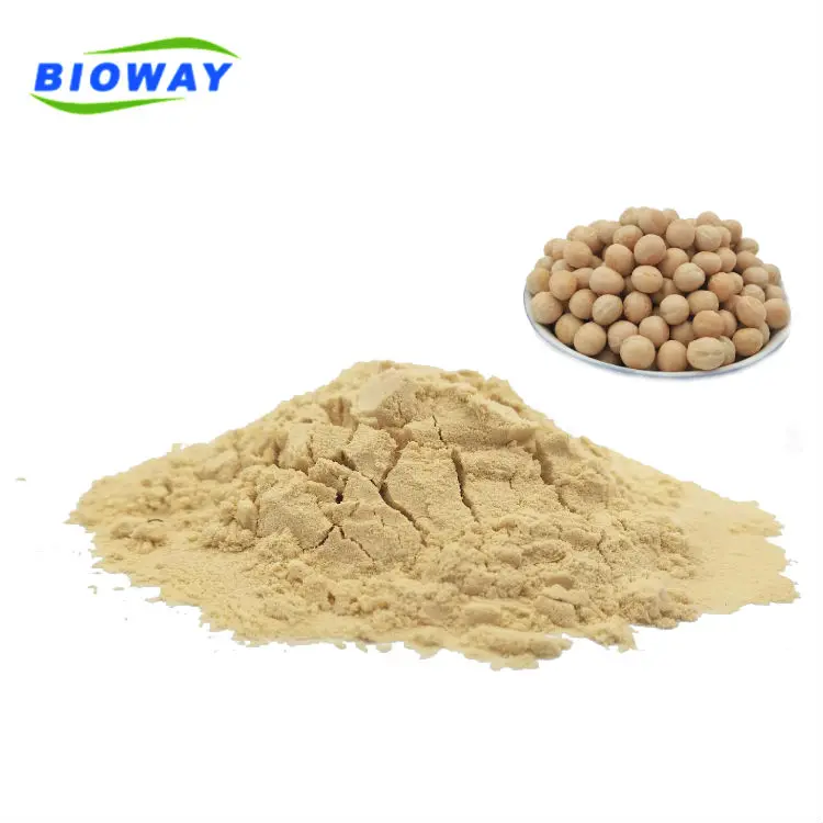
Bulk and Wholesale Organic Pea Protein Isolate 