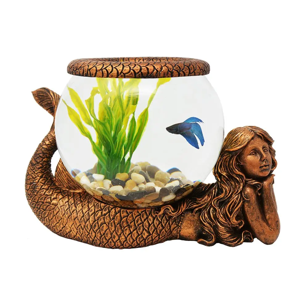 Cheap Big Glass Fish Bowl, find Big Glass Fish Bowl deals on line at