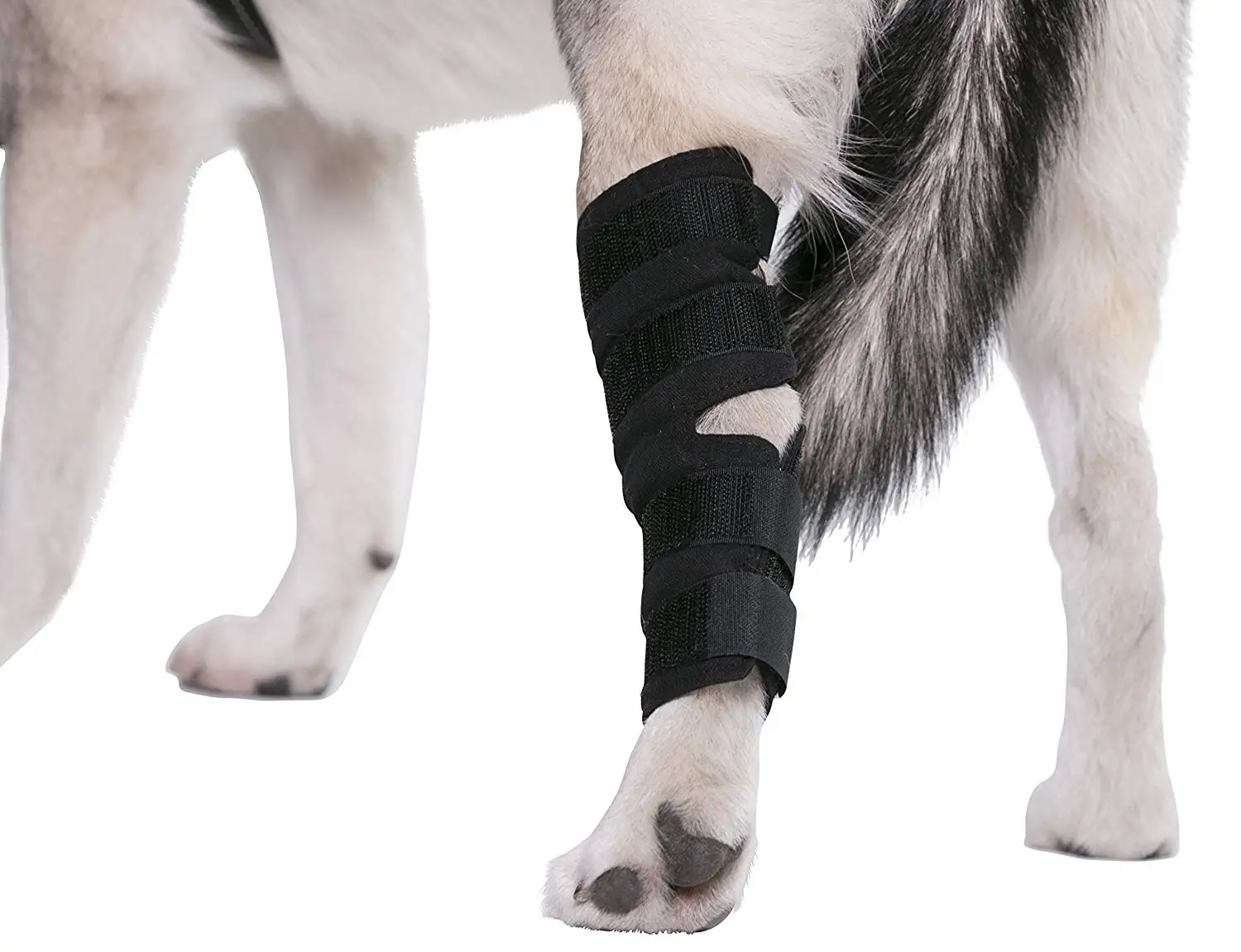 Wholesale Private Label Dog Knee Brace Neoprene Dog Leg Brace Buy