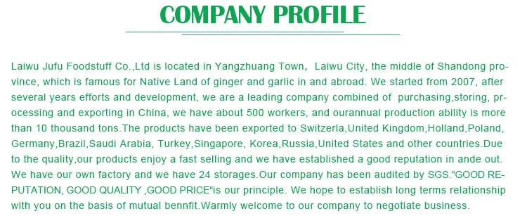 Company profile.jpg