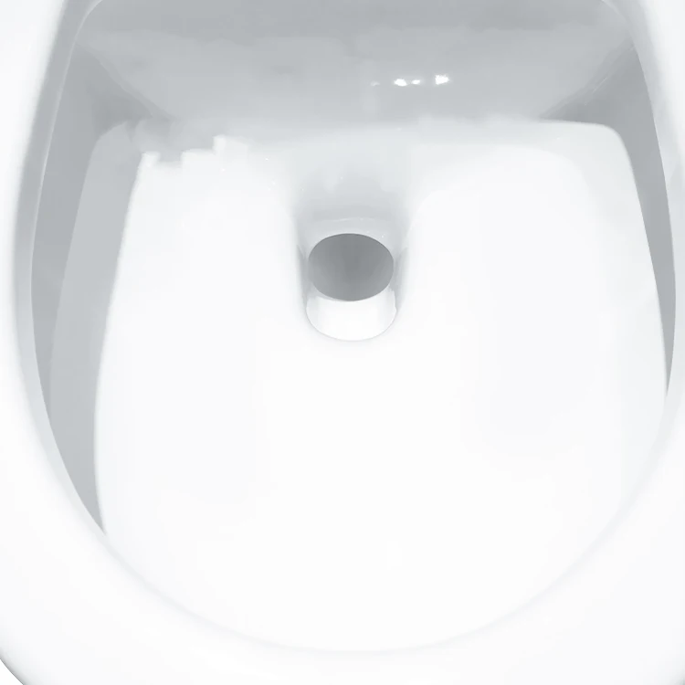 
One-piece Elongated Toilet With Siphon Flushing 