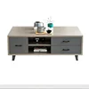 double color with 1 door 2 drawers coffee table for home