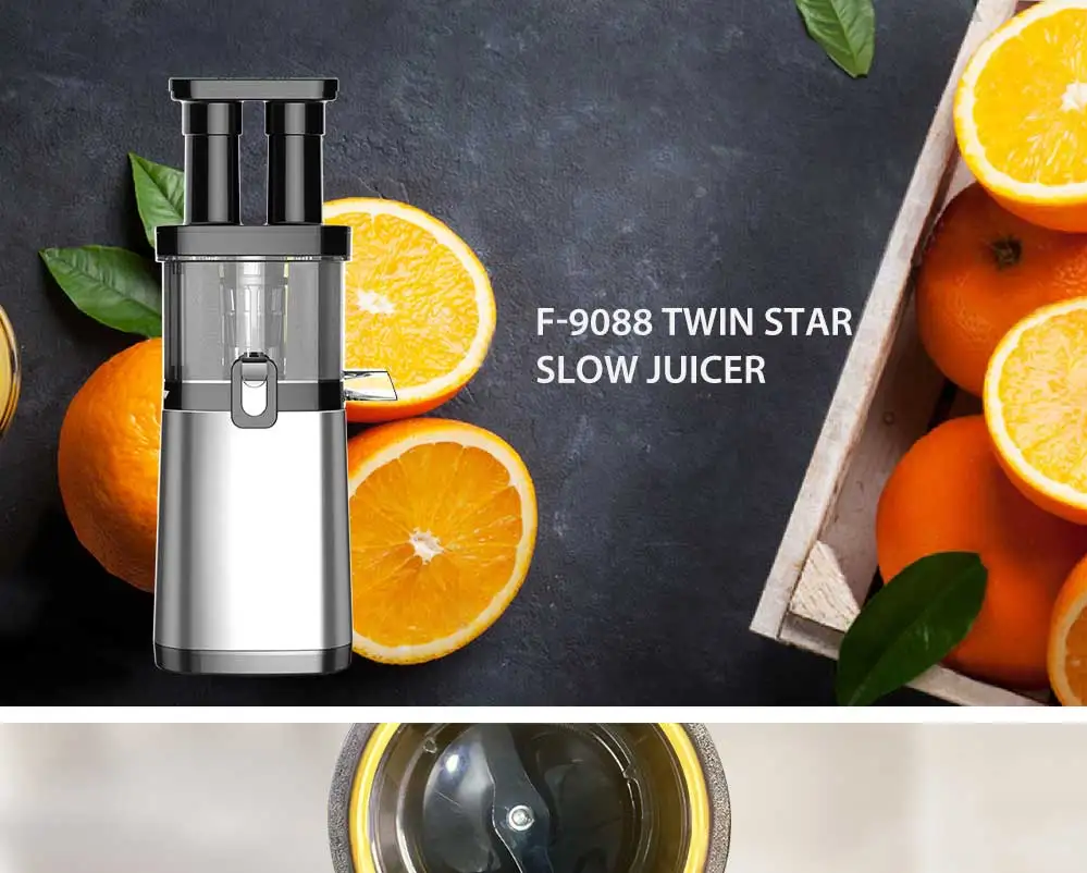 twin star slow juicer vertical fruit cold press sugarcane juicer