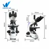 Laboratory Biological Fluorescent Trinocular Head Microscope