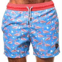 

Wholesale 2019 Hot Selling Flamingos Printed Men's Beach Pants New Mens Swim Shorts