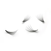 

Bulk Premade Fans 5d 10d Loose Russian Volume Lashes 0.07 Extension