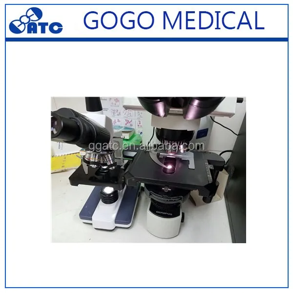 2016-08-30 152608 .jpg