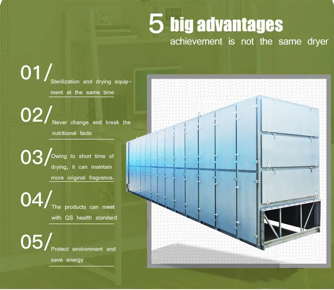 mesh belt dryer4.jpg