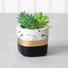 White Ceramic Succulent Cactus Planter Flower Pots with Bamboo Tray for Home Decoration