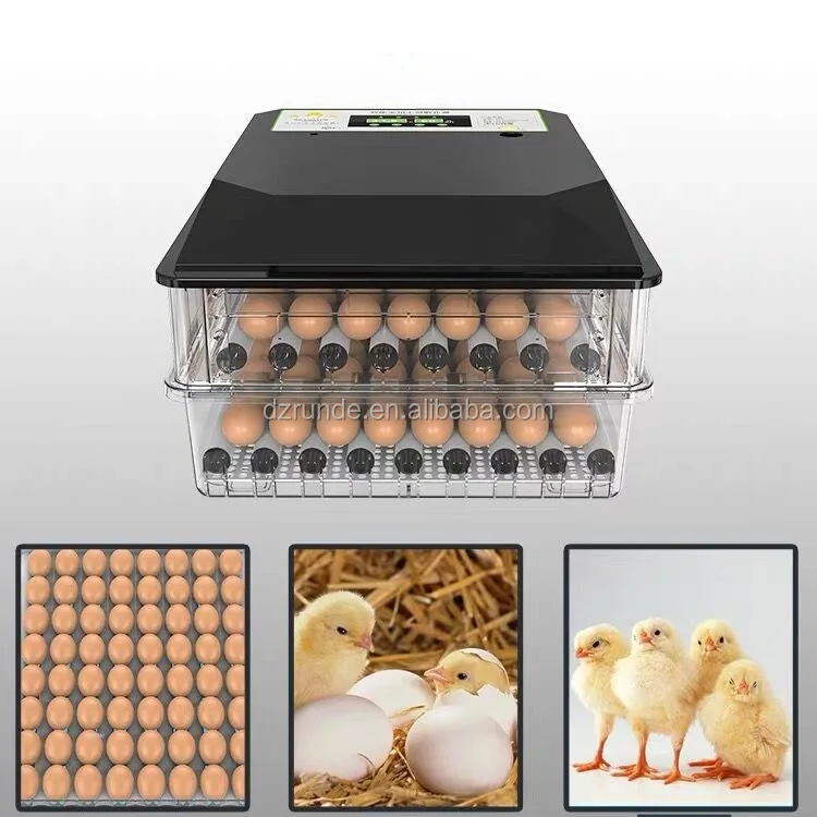 chicken poultry farm equipment solar chicken egg incubator