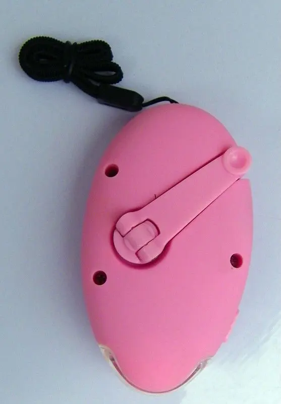 dynamo  flashlight.jpg