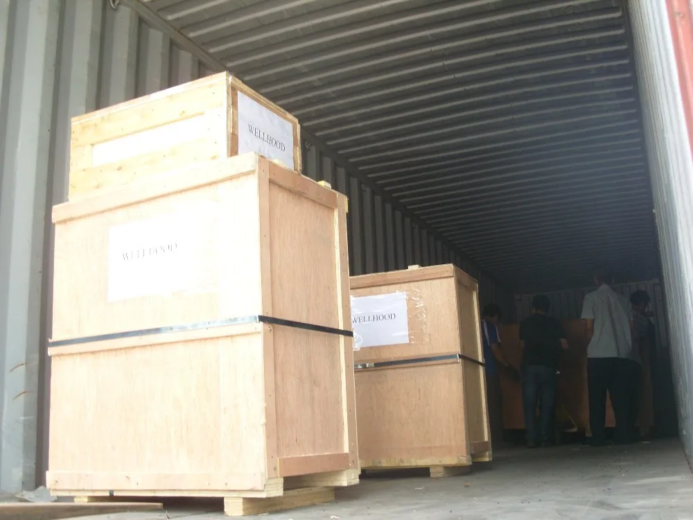 Odf Orally Mouth Freshener Strip Dissolving Film Packing Machine Buy