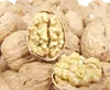 walnuts in dubai and China