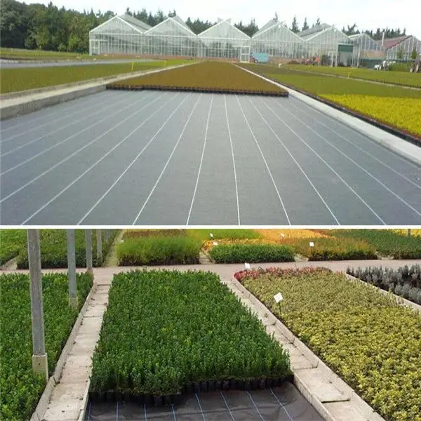 100% PP Woven Agriculture Ground Cover/Mulch Film/Weed Mat