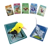 English learning conversation speaking card for beginner and kids