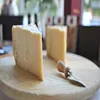 OEM ODM HACCP Certified Italian Reggiano Parmesan Cheese