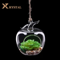 

2019 New Design Apple Shape Hanging Glass Vases, Air Plant Glass Decorative Hanging Glass Terrarium