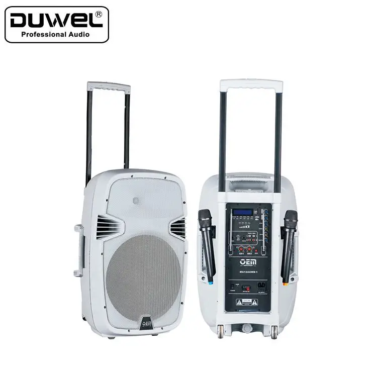 f&d 40w bluetooth speaker