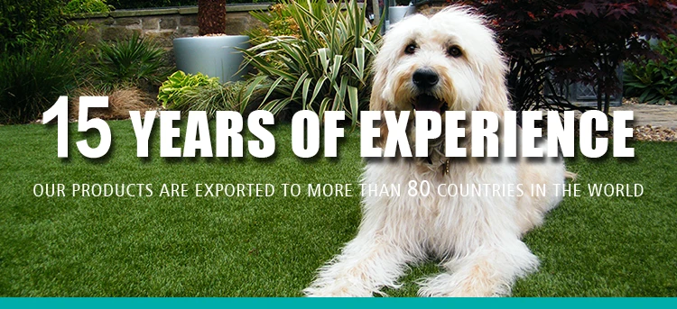 ペット用トイレ人工芝屋内フローリングカーペット用 Buy 人工芝 人工芝屋内フローリングカーペット ペットトイレ Product On Alibaba Com