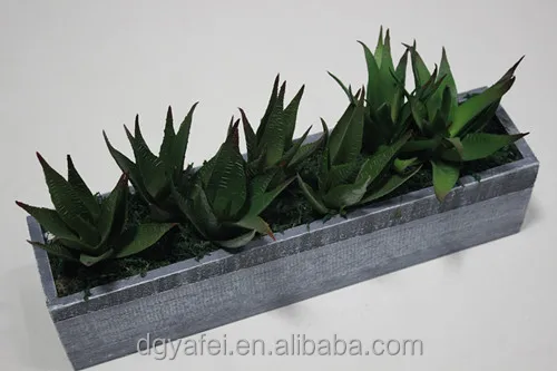 Chinese goods wholesale artificiail succulents plant for table/window decor