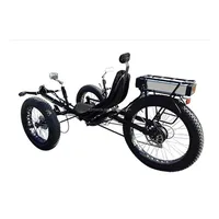 

Free Shipping 500W Motor Fat Tire Three Wheel Lay Down Bike Electric Recumbent Velo Bike With 48v 20ah Lithium Battery