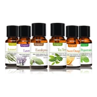 

Wholesale Private Label 100% Natural Custom Purity Diffuser Aromatherapy Aroma Essential Oils Gift Set With 6 Fragrance