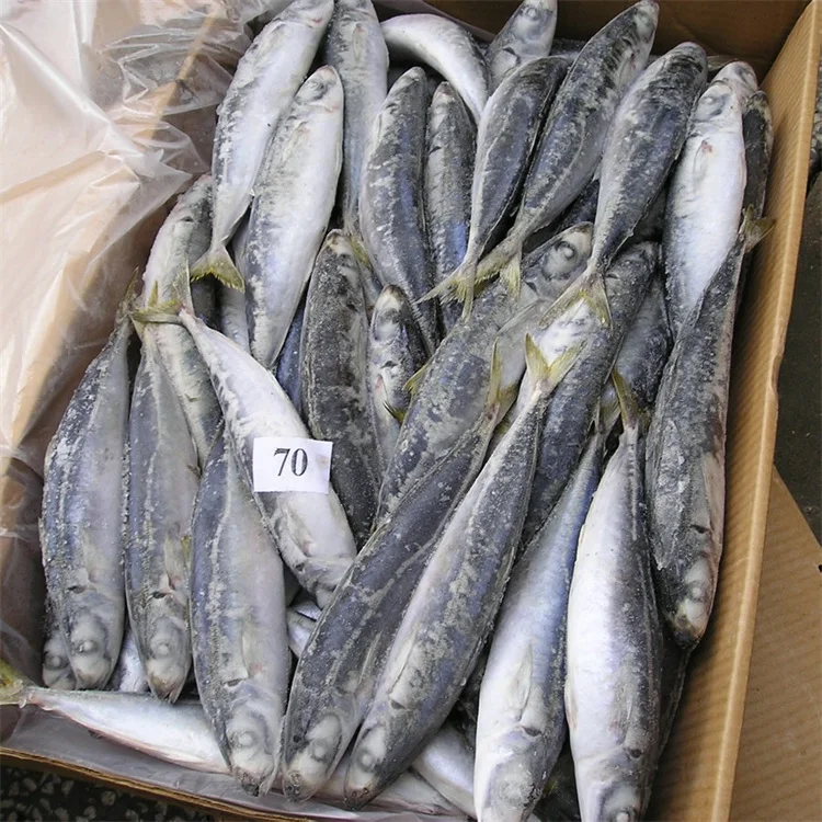 Wholesale Seafood Round Scad Mackerel Fish For Sale Buy Round Scad Mackerel,Round Scad For