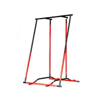 

Wellshow Sport OEM Pull Up Mate Pull Up Bar Dip Stand Station Calisthenics Pull up Station