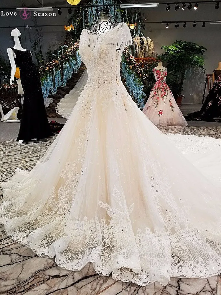 ls00303 kleinfeld appliqued vestidos largo tren ver a través de