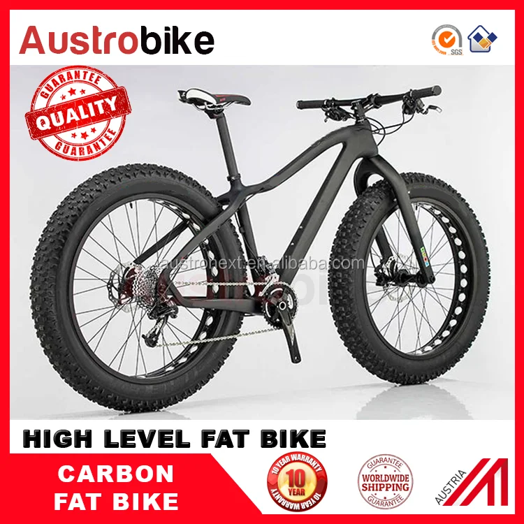 carbon fiber fat bike