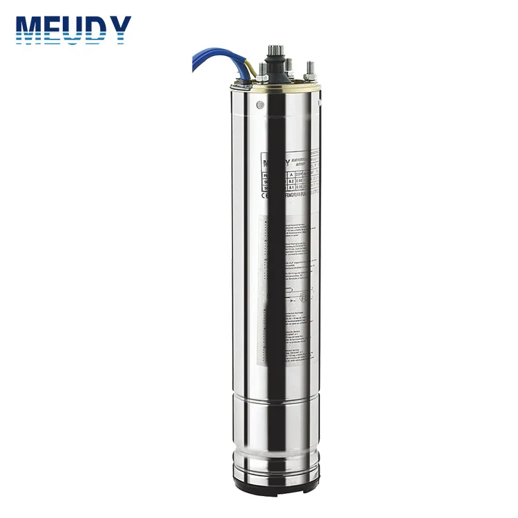 submersible pump and motor