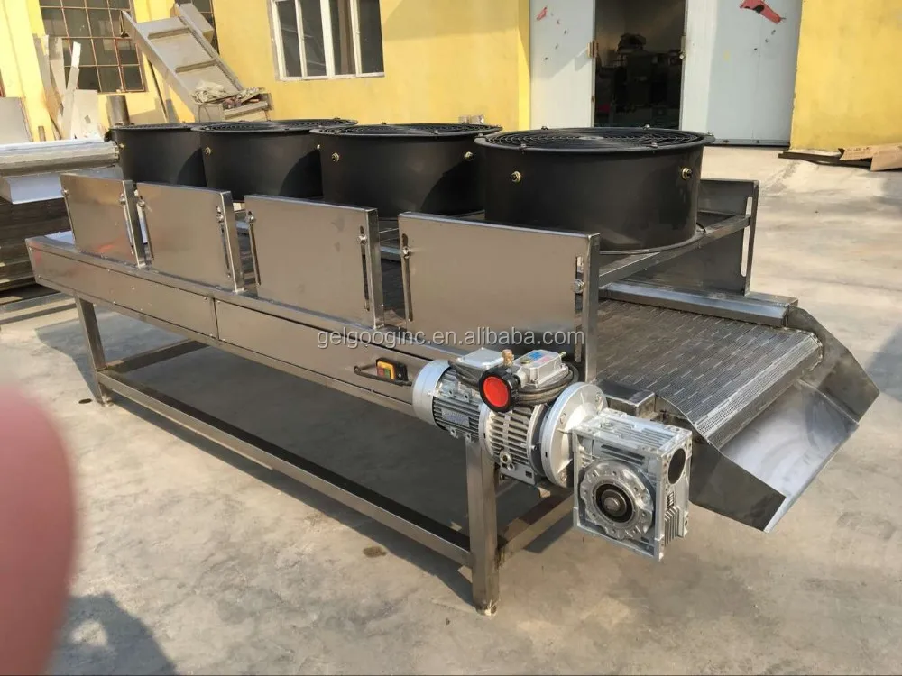 1000KG/H Fruit and Vegetable Washing Machine - Dates Line