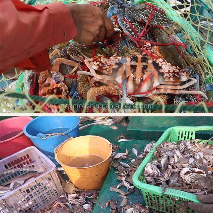 eel fyke net (2).jpg