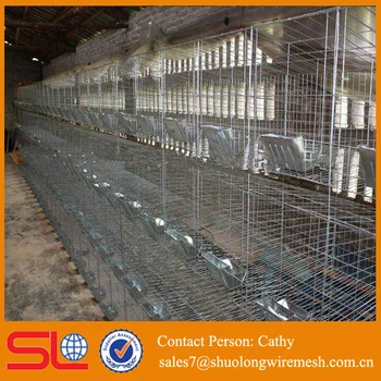 Automatic Chicken Layer Cage For Sale In Philippines Bamboo Bird Cage Buy Cagebamboo Bird Cageautomatic Chicken Layer Cage For Sale In Philippines