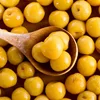 China Famous Brand Canned Fruit Canned Plum / Prune Fruit in Light Syrup