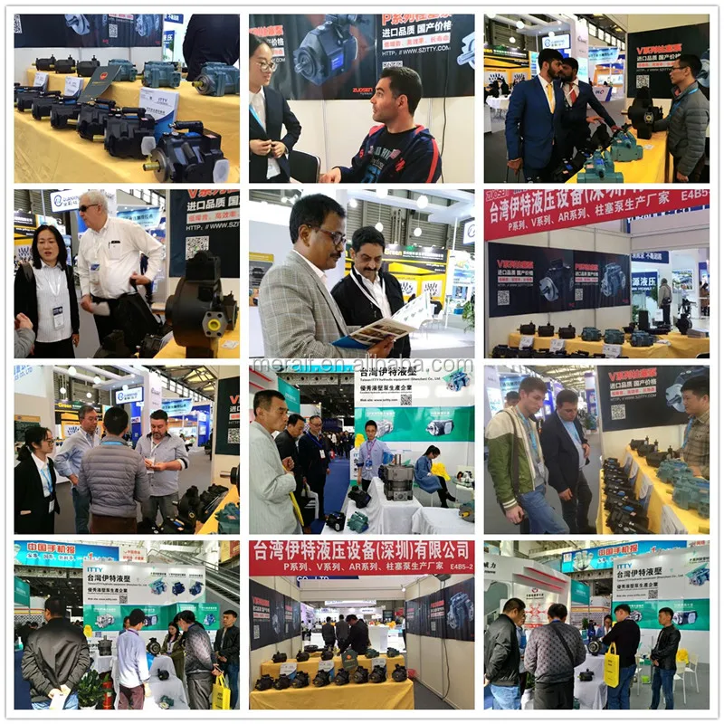 ITTY Taiwan factory OEM 0514 950 207 RGP hydraulic radial piston pump