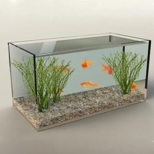 rectangle fish tank