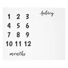Babies Age Group and Airplane Use Baby Milestone Blanket