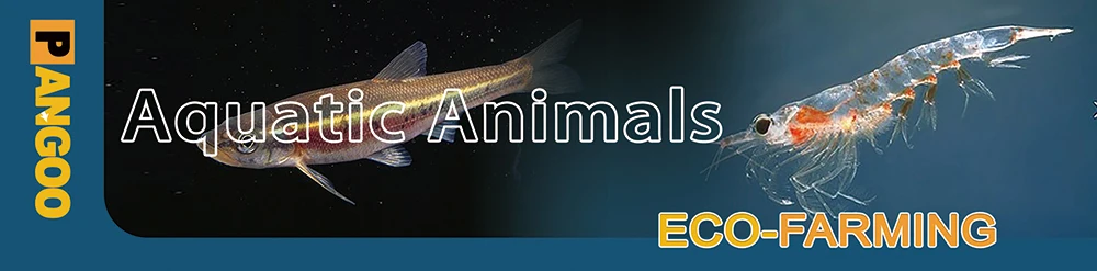 shrimp probiotics.jpg