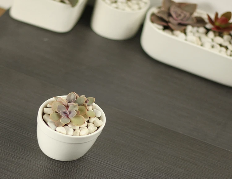 Windowsill Adornment Hexagon White Ceramic Indoor Pots For Succulent