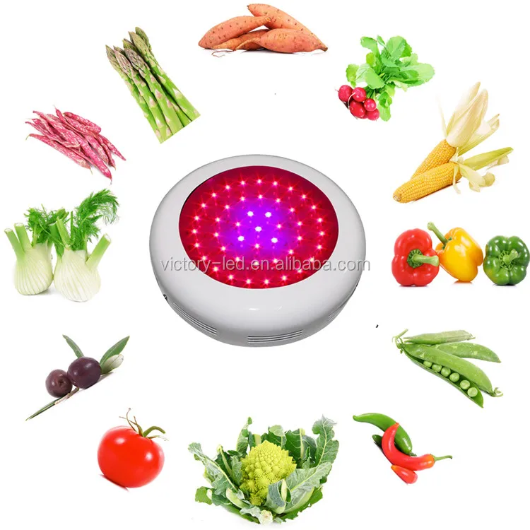 Full spectrum plant light panel 300w led grow light for indoor garden