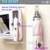 12 needle rechargeable 2 in 1 machine derma pen and permanent makeup machine for facial problems /tattoo/lips/eyeline/eyebrow