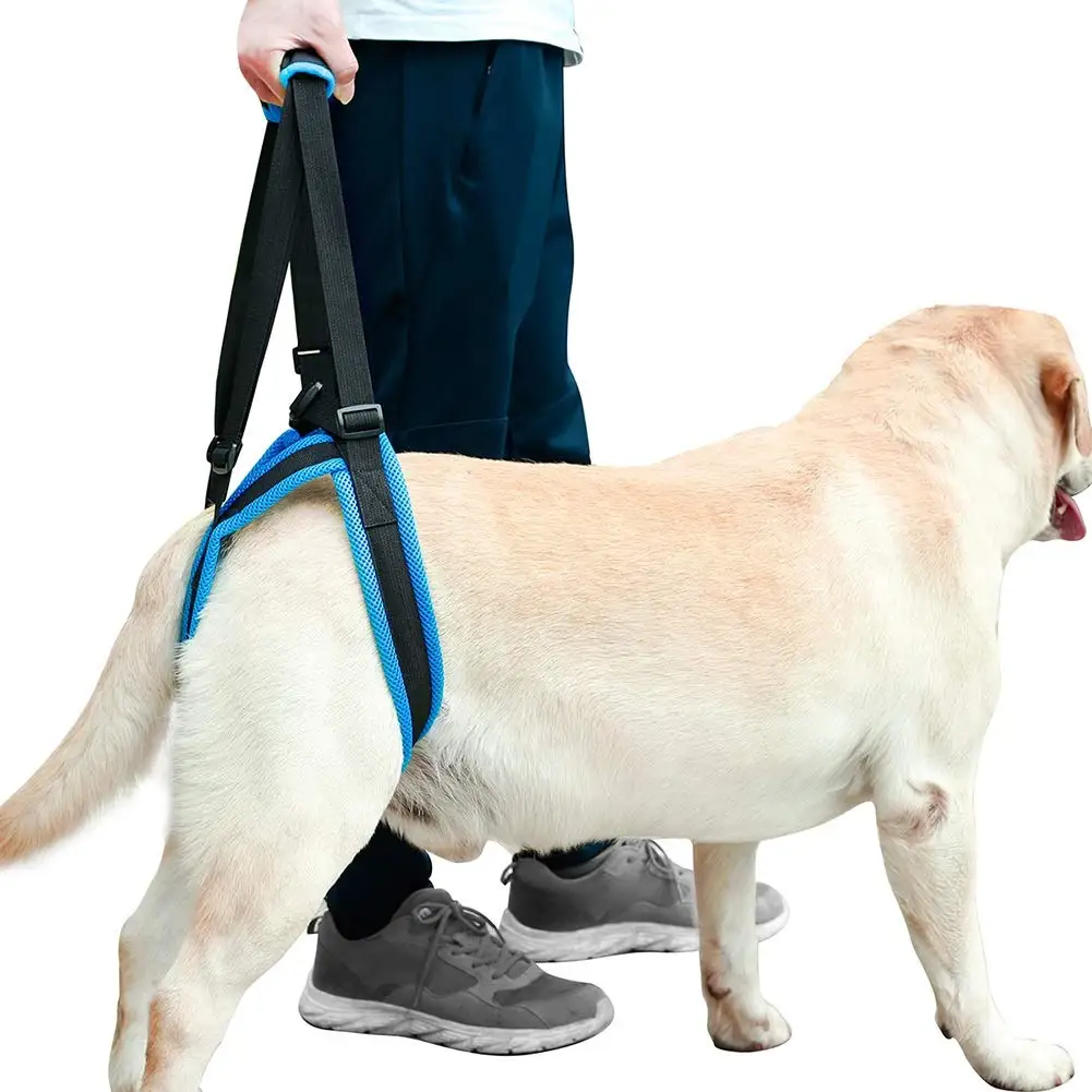 petco step in harness