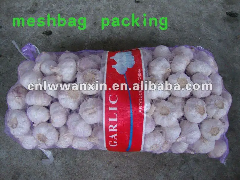 5.5cm normal white garlic_.jpg