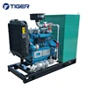 CE approved 20kw 30kw 40kw 50 kw 80kw 100kw 120kw portable natural gas electric generator