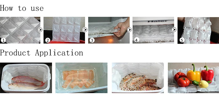 Preserving Cold Chain Seafood Fruit Reusable Gel Ice Pack for Lunch Box